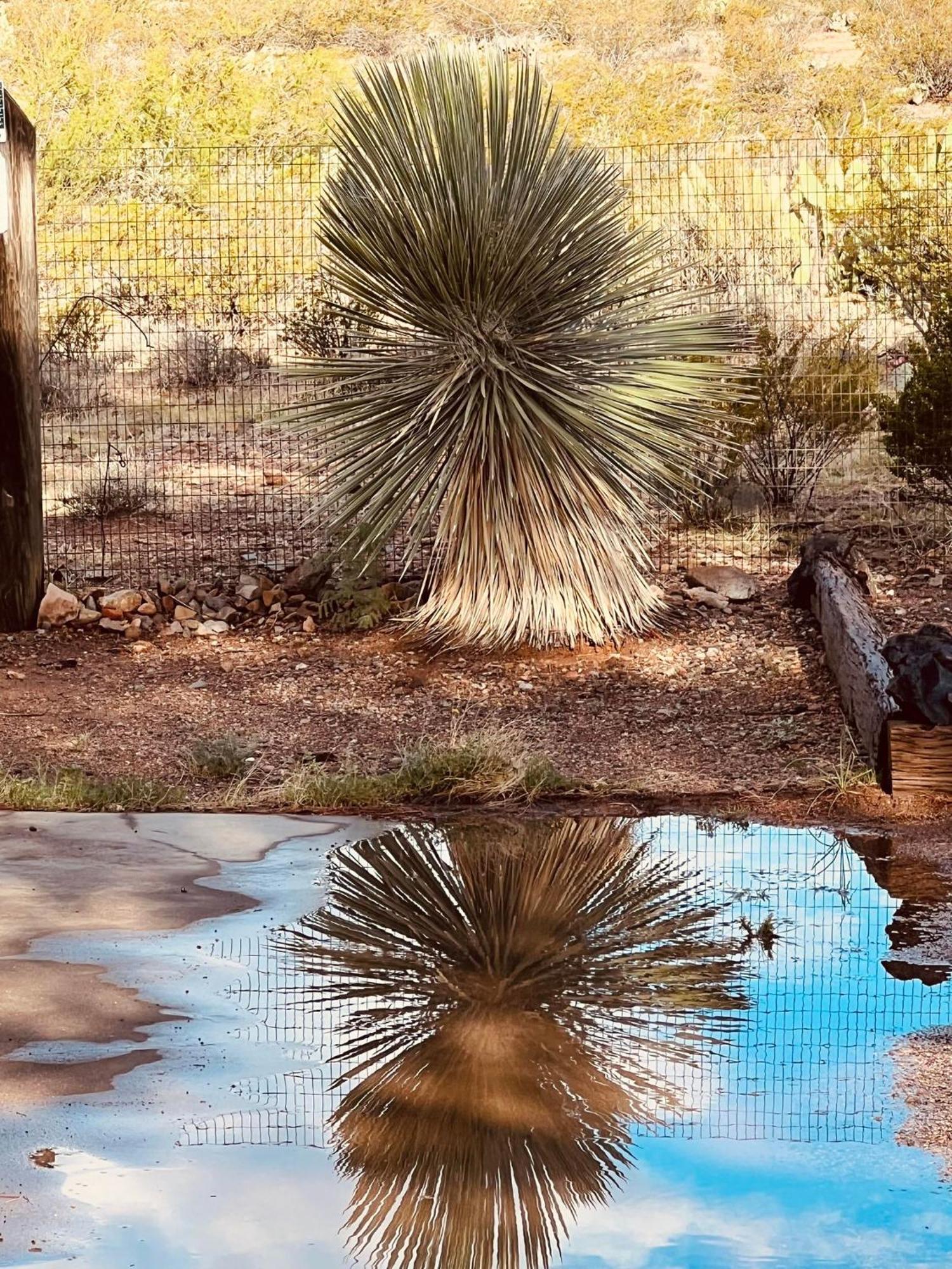 Hole In The Wall Getaway - Usa Mexico Border Bed And Breakfast Columbus Dış mekan fotoğraf